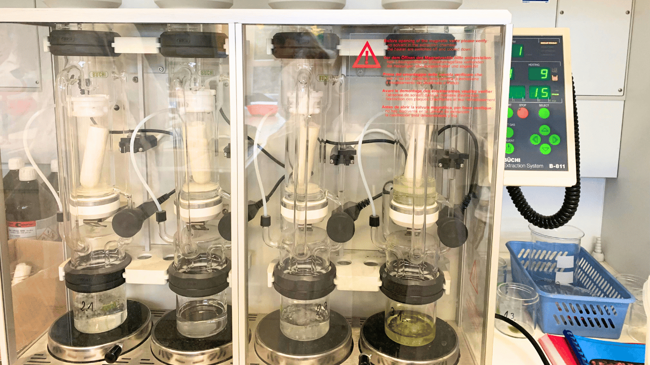 Oznaczenie zawartości tłuszczu w ziarnie (wrzesień-grudzień)